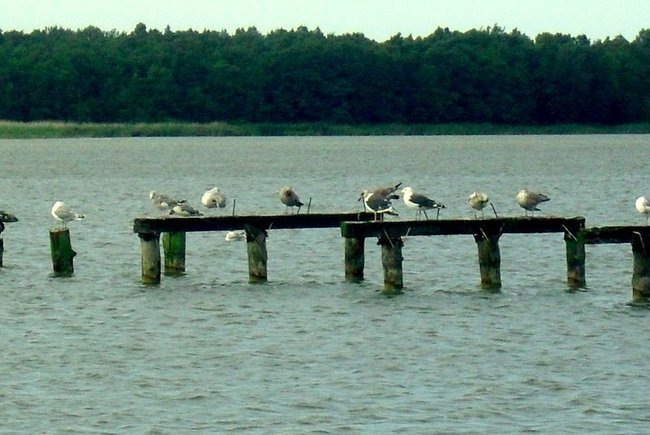 Mazury -wspomienia