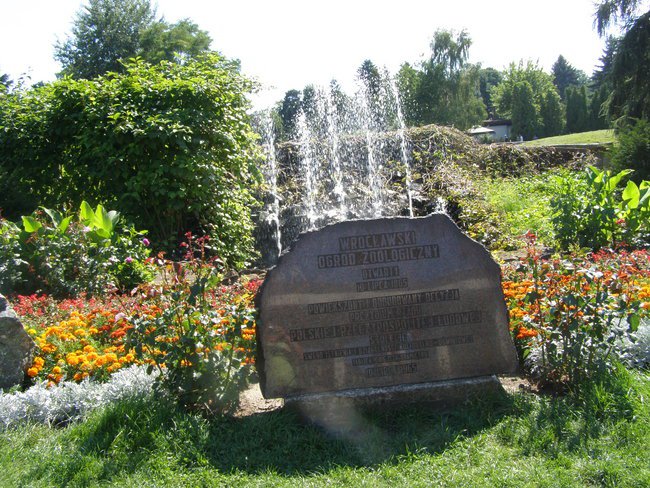 Spacerkiem po wrocławskim ZOO.