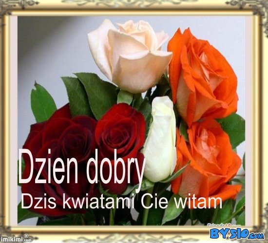 @@. ANIU..DLA CIEBIE DZIŚ ZAKWITNĄ  RÓŻE @@