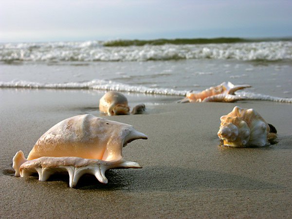 Plaże moich marzeń