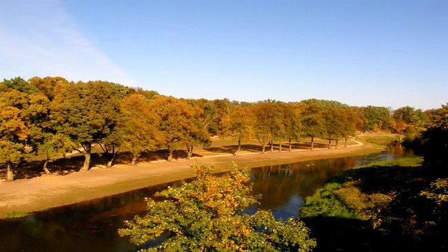 Natura ! a ludzie zachwyt mają w tańcu z gwiazdami,Ha ha Ha!