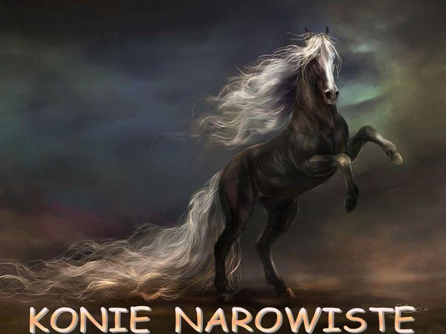 Konie narowiste