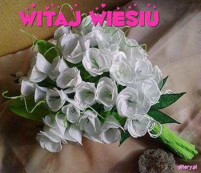 WITAJ WIESIU