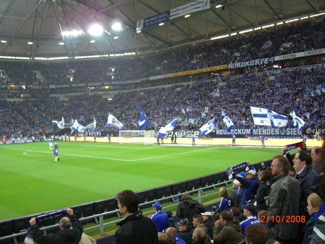 Kibic  Schalke04