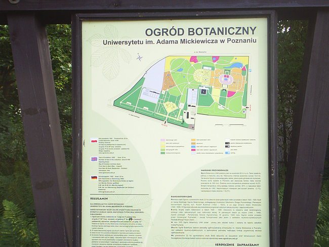 SPACER PO OGRODZIE BOTANICZNYM W POZNANIU