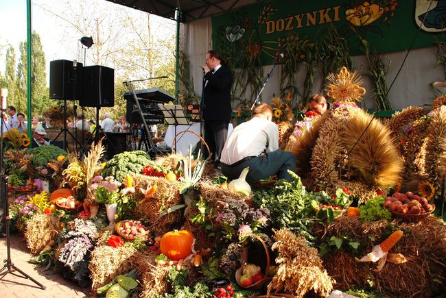 Dożynki powiatowe w Bujakowie ...