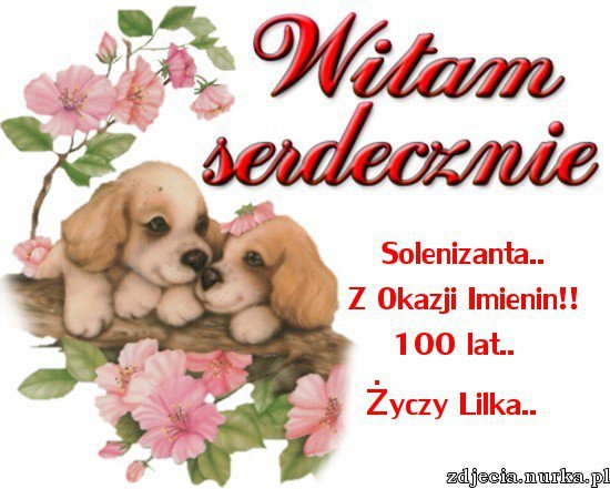 WITAM GORACO SOLENIZANTA!!!