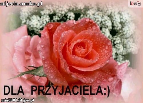 dla przyjaciela