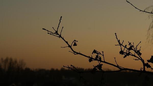 Moja własna sesja Fotograficzna