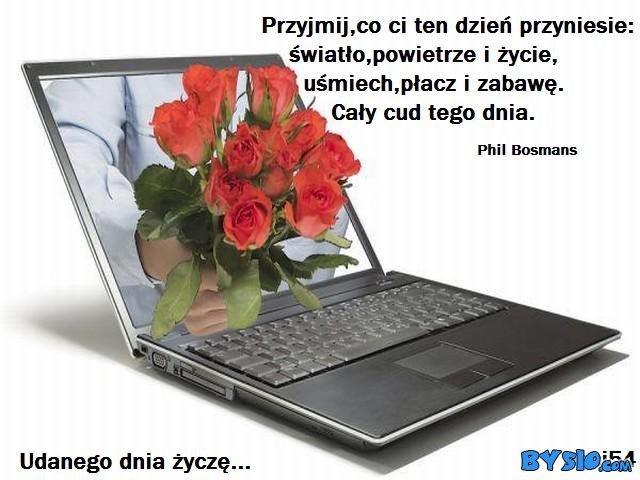 Pragnę Ci Ofiarować Dziś Przyjaźni Kwiat Aby Dla Ciebie Piękniejszy Był Świat. By W Twoim Życiu Zawsze Uśmiech Gościł By Było To Pasmo Samych Radości