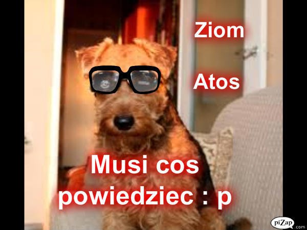 Atos Ziom < 3 Zajżyj !