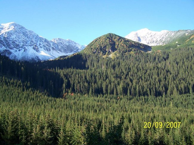 Słowacja  Tatry Zachodnie  Dolina Rohacka