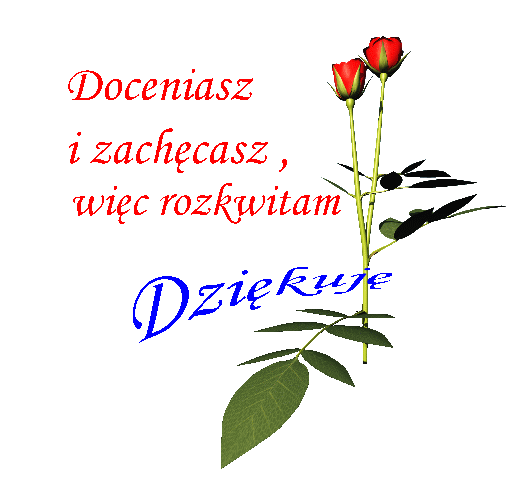 DLA PRZYJACIÓŁ.