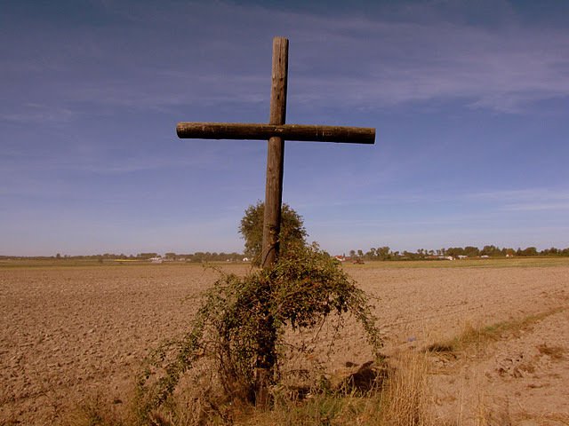 + ŚWIĘTO ZMARŁYCH * DZIEŃ ZADUSZNY +