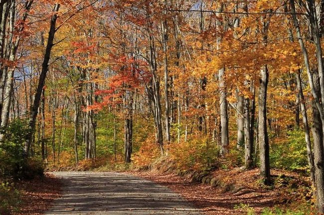 JESIEŃ Z OKOLIC STANU MICHIGAN