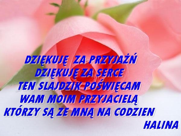 DLA PRZYJACIÓŁ