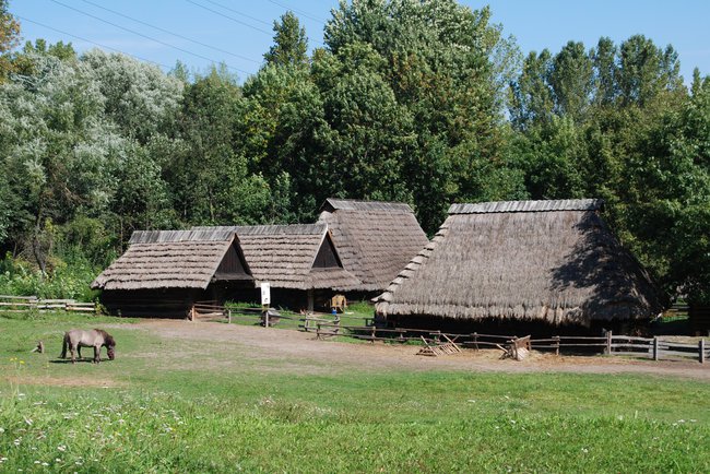 Chorzów - Skansen, dożynki