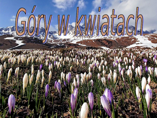 Góry w kwiatach