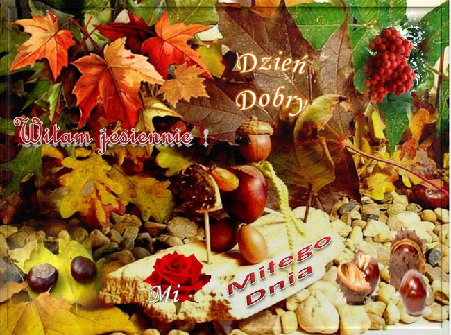 Dla prawdziwej przyjaciółki :)