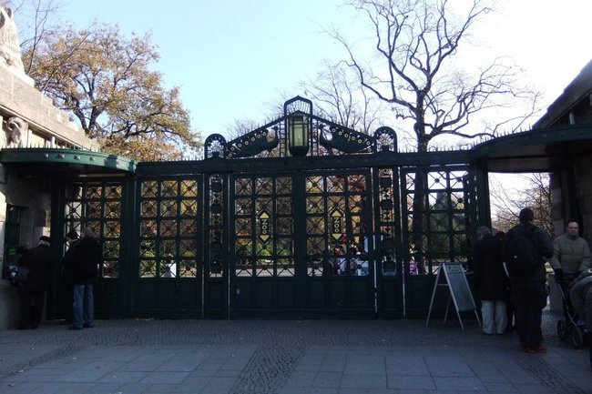 zoo w Berlinie