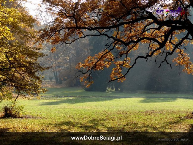 Barwy jesieni - DobreSciagi.pl