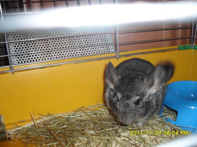 MÓJ PIERWSZY SLAJDZIK