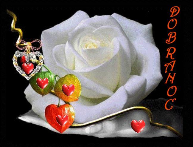 IWONKO TO DLA CIEBIE