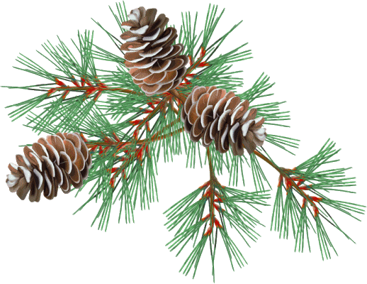 JESTEŚ ANIOŁEM....