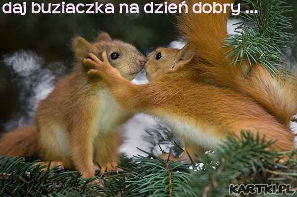 Grażynko dla ciebie i Twej Rodzinki zyczenia świąteczne  od Basi