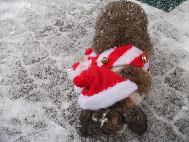 ZEBY SZCZESLIWYM BYC