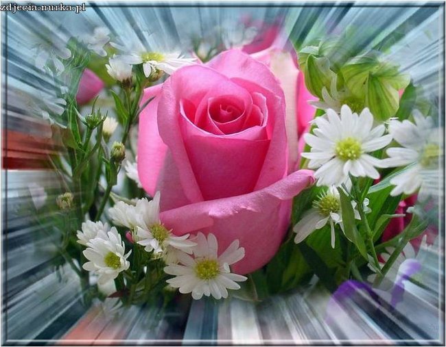 ###   DLA ##  CIEBIE ###   POZDRAWIAM ##