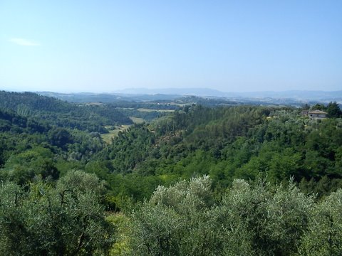 KRAJOBRAZY I COS WIECEJ-ZDJECIA JASIA-SISKA