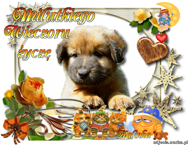 MILEGO POPOLUDNIA WSZYSTKIM ZYCZE.