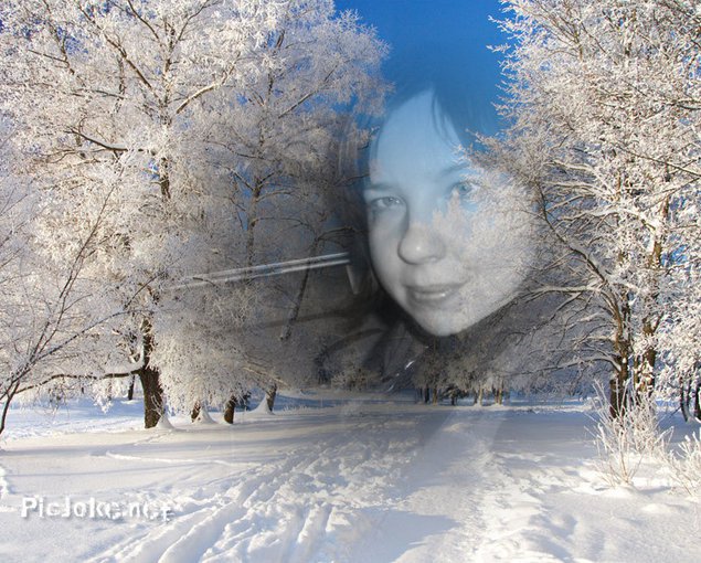 święta bożego narodzenia