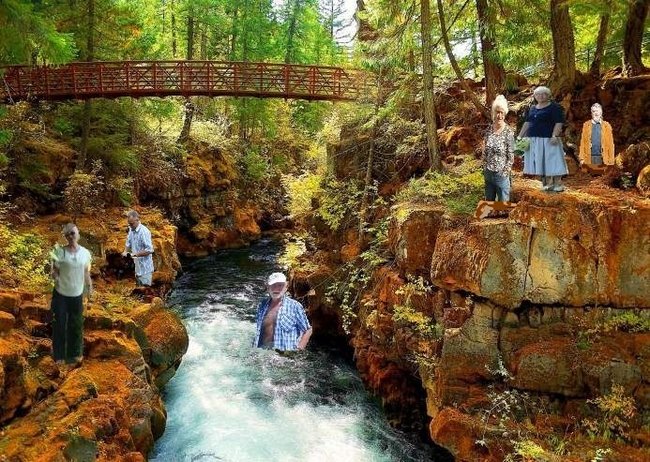 Dla wszystkich naszych przyjaciół