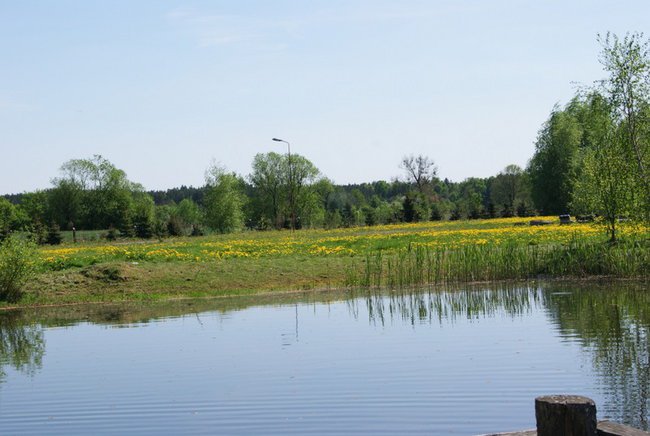 NIEZAPOMNIANE CHWILE