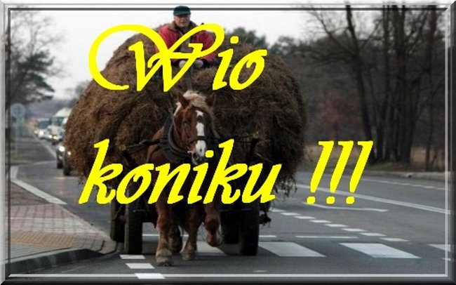 Wio koniku !!!
