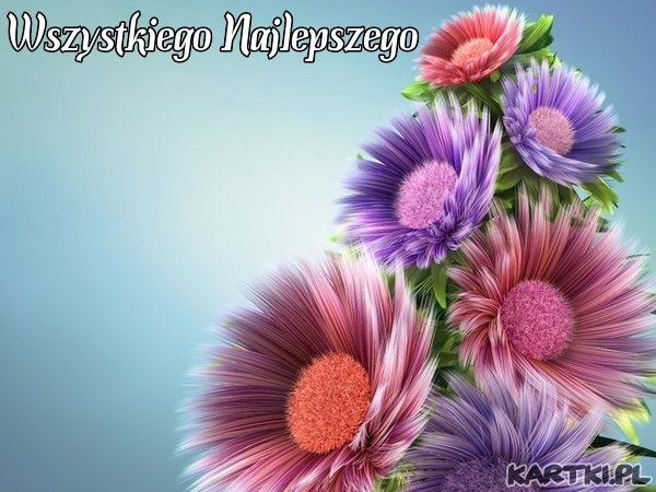 Różyczko dla ciebie na urodzinki