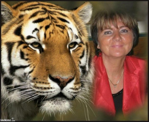 KRYSIU SLAJDZIK SPECJALNY DLA CIEBIE:):)