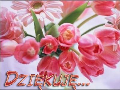 KOCHANI - SŁOWO DZIĘKUJĘ - WIEM, ŻE TO ZA MAŁO.  ALE PRZYJMIJCIE JE PROSZĘ BO PŁYNIE ONO Z GŁĘBI MOJEGO SERCA ...