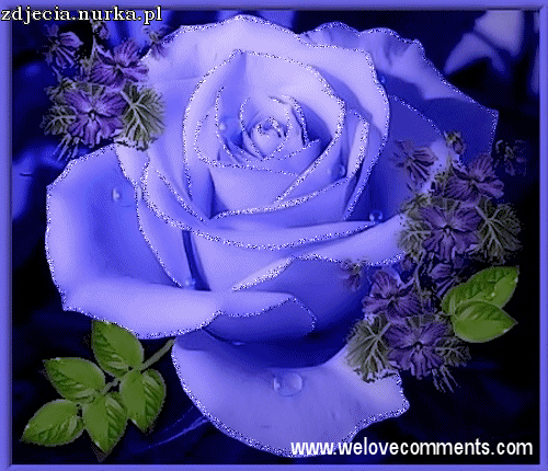 ##  CHCIALABYM  BYC  ANIOLEM  ###    Pozdrawiam   Serdecznie ##