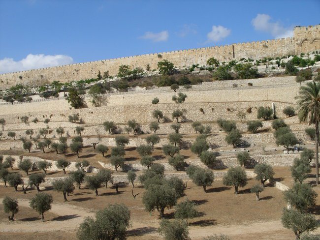 Izrael 2011 wrzesień.