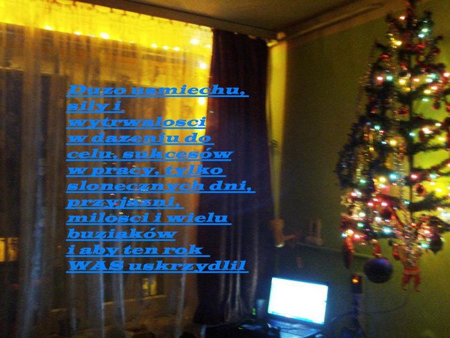 SZCZEŚLIWEGO NOWEGO ROKU-2012;;;;