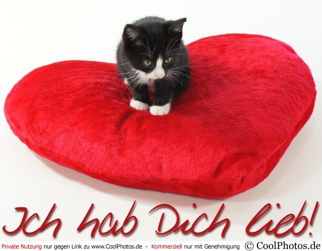 DLA CIEBIE  KOCHANA ULLA Z OKAZJI NOWEGO ROKU 2012