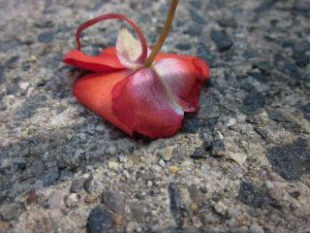 Dziwny jest ten świat...