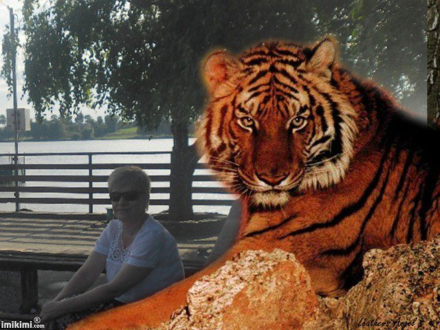 Wspomnienie.2011 Roku.