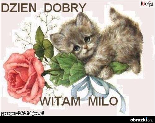 Pozdrawiam znajomych