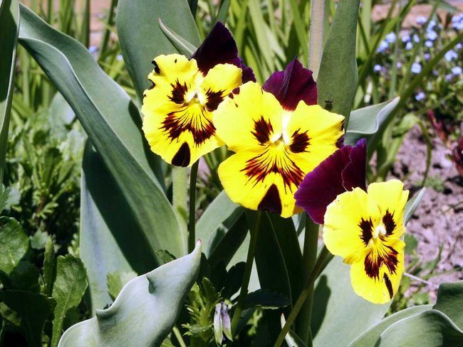 PIĘKNYCH CHWIL W 2012 ROKU