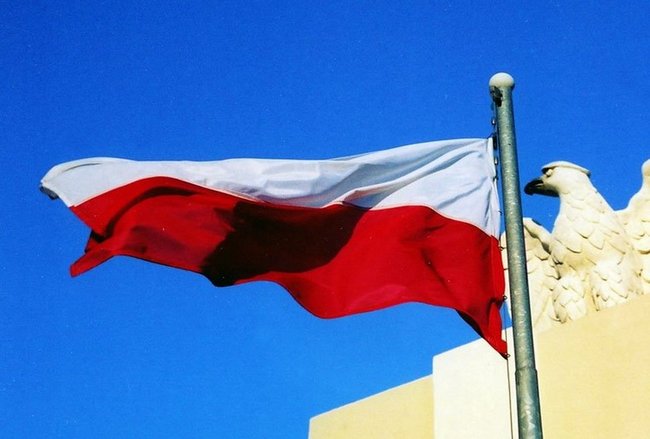 Zapraszam Cię do współpracy