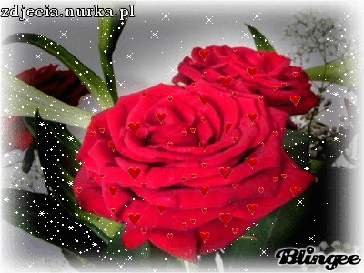 ##Szczesliwego  Nowego  Roku ###  DUZO  RADOSCI  ,  SZCZESCIA  ,  ZDROWKA